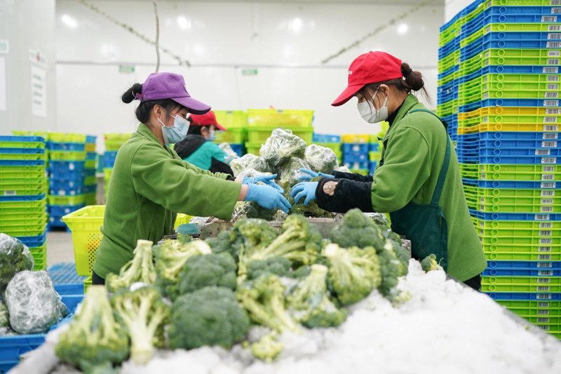 生鲜食品批发：健康生活的起点